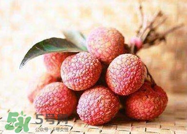 贵妃吃的荔枝产自何处,当年杨贵妃的荔枝产地哪里?