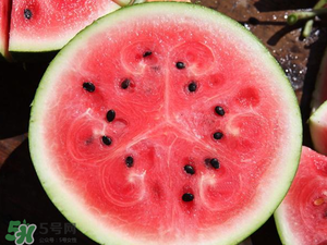 8424西瓜的特点,8424西瓜的特点有哪些