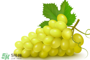 葡萄怎么选购,买葡萄怎么挑选 葡萄怎么选购,买葡萄怎么挑选