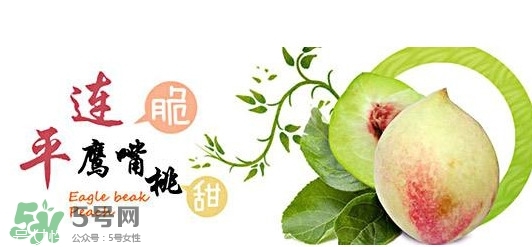 鹰嘴桃一亩产量多少,鹰嘴桃种植 鹰嘴桃一亩产量多少,鹰嘴桃种植