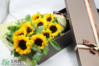 向日葵的花语和寓意,向日葵的花语是啥