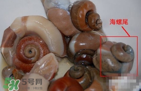 海螺哪些部位不能吃图解,海螺哪些部位不能吃视频 海螺哪些部位不能吃图解,海螺哪些部位不能吃视频