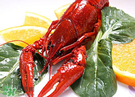 潜江小龙虾产量占全国多少,潜江小龙虾产量高的原因