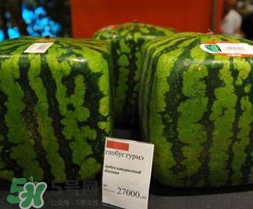 有方形的西瓜吗,有没有正方形的西瓜