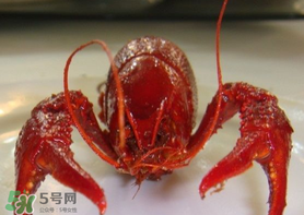 江苏龙虾盱眙,盱眙龙虾节