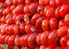 江苏盱眙龙虾节,中国盱眙国际龙虾节