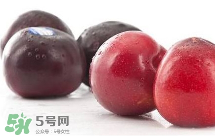 红布林什么时候成熟季节,红布林什么时候成熟 红布林什么时候成熟季节,红布林什么时候成熟