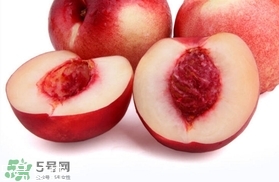 桃驳李和油桃的区别,桃驳李和油桃的区别图 桃驳李和油桃的区别,桃驳李和油桃的区别图