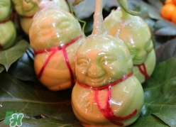 人参果为什么长得像人一样,人参果为什么长着人的样子