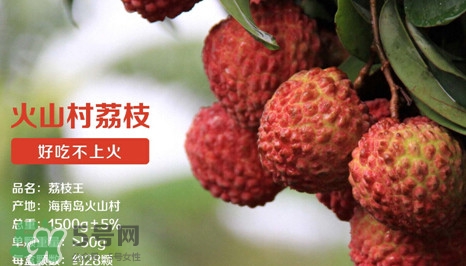 荔枝多少钱一斤现在,最贵荔枝王价格