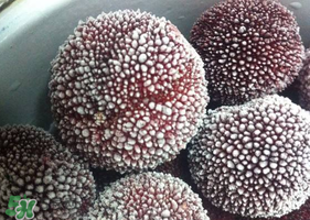 杨梅冰冻后还能吃吗,冰冻了半年的杨梅还能吃吗
