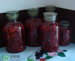 泡杨梅酒用什么瓶子好,泡杨梅酒用什么瓶子酒泡