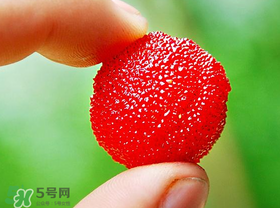 冰糖杨梅吃多了会怎么样,杨梅吃多了会怎么样?