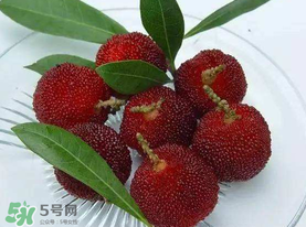 吃杨梅籽有什么好处,杨梅籽可以吃吗