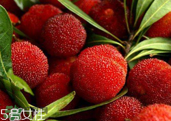 李子不能和什么一起吃相克,李子不能和什么一起吃