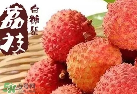 白糖罂荔枝特点,白糖罂荔枝控梢技术