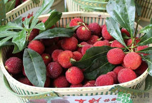 杨梅不能和什么一起吃/同吃,杨梅不能和什么一起吃,杨梅和什么相克