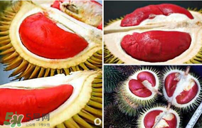 榴莲原产国,榴莲原产地是哪个国家 榴莲原产国,榴莲原产地是哪个国家