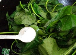 炒苕尖的家常做法大全,苕尖怎么炒好吃