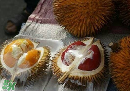 榴莲现在的价格,榴莲的价格