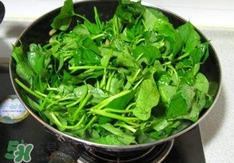 苕尖长什么样,苕尖怎么读