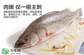 鲈鱼是不是海鲜类,鲈鱼哪里有卖的