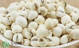 川贝母和川贝的区别图片,藏贝母和川贝母的价格