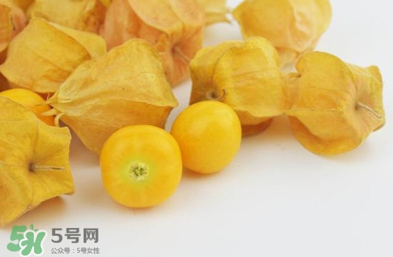 姑娘果是凉性还是热性水果,姑娘果是凉性还是热性的