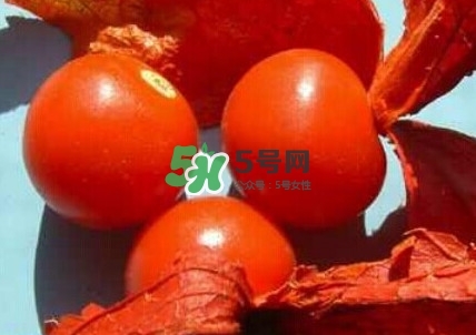 姑娘果怎么种,果子制作方法