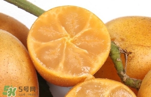 黄皮果怎么腌制可以止咳,黄皮果怎么腌制有什么功效 黄皮果怎么腌制可以止咳,黄皮果怎么腌制有什么功效