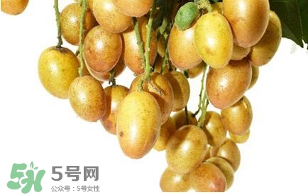 海南黄皮果什么时候上市,黄皮果什么时候上市