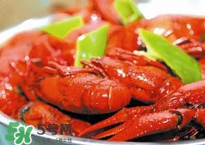 龙虾怎样做才好吃视频教程,龙虾怎么吃法