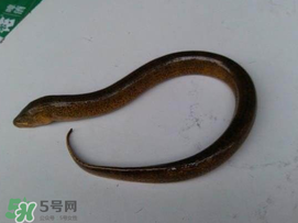 火车禁止携带物品目录,火车禁止携带物品目录2021