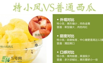 特小凤营养价值,特小凤好吃吗 特小凤营养价值,特小凤好吃吗