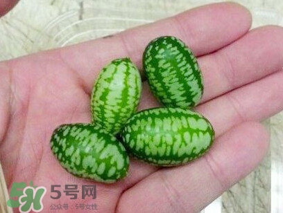 迷你西瓜怎么吃,迷你小西瓜怎么吃