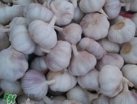 现在市场蒜价格,哪一年蒜价格最高