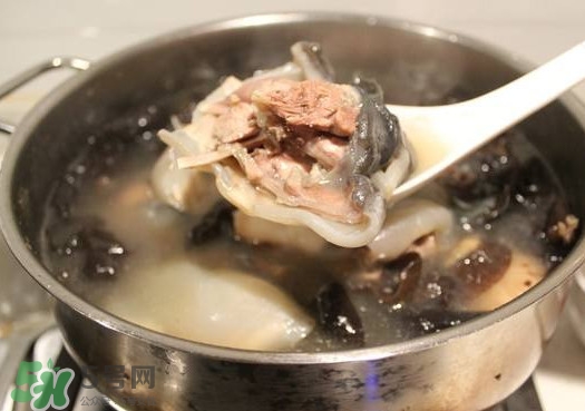 甲鱼汤孕妇能喝吗?,甲鱼汤孕妇可以喝吗