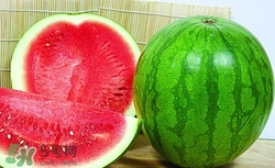 无籽西瓜怎么种,无籽西瓜品种 无籽西瓜怎么种,无籽西瓜品种