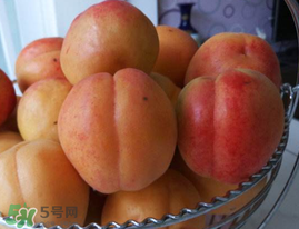 杏子吃多了对身体有什么影响,吃杏子的禁忌