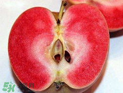 杏仁和苹果能一起吃吗,苹果和杏仁煮在一起能吃吗? 杏仁和苹果能一起吃吗,苹果和杏仁煮在一起能吃吗?