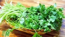 香菜是热性还是凉性蔬菜,香菜是热性还是凉性的? 香菜是热性还是凉性蔬菜,香菜是热性还是凉性的?