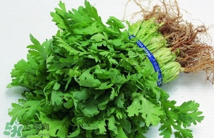 香菜回奶还是下奶,香菜到底是回奶还是下奶?