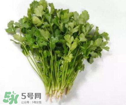 香菜能洗肾是真的吗,香菜可以洗肾吗
