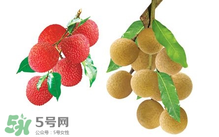 荔枝和龙眼可以一起吃吗?,龙眼和哪些不能一起吃吗