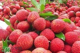 荔枝不能和什么一起吃中毒,荔枝不能和什么一起吃相克 荔枝不能和什么一起吃中毒,荔枝不能和什么一起吃相克