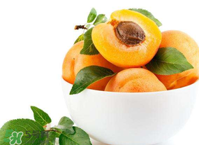 杏子的食用禁忌,吃杏子的禁忌