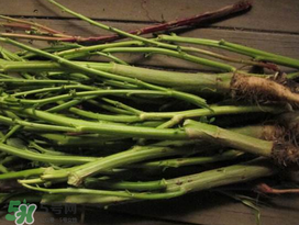 苋菜杆图片大全,红苋菜杆子的做法大全