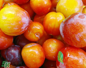 李子腌制方法长久保存法,李子怎样保存的时间长