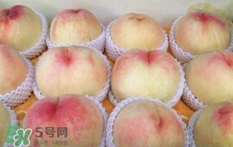 无锡水蜜桃什么时候上市,无锡水蜜桃什么时候上市采摘