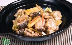 鳄鱼肉是寒性还是热性,鳄鱼肉是温性还是凉性